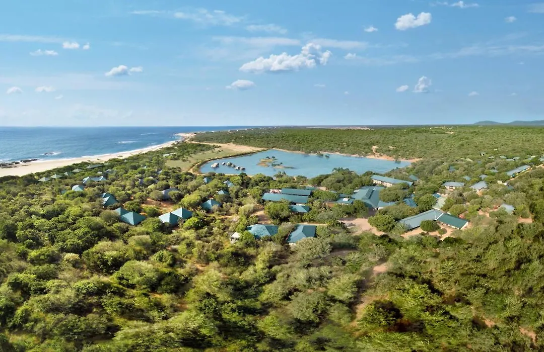 Cinnamon Wild Yala-1